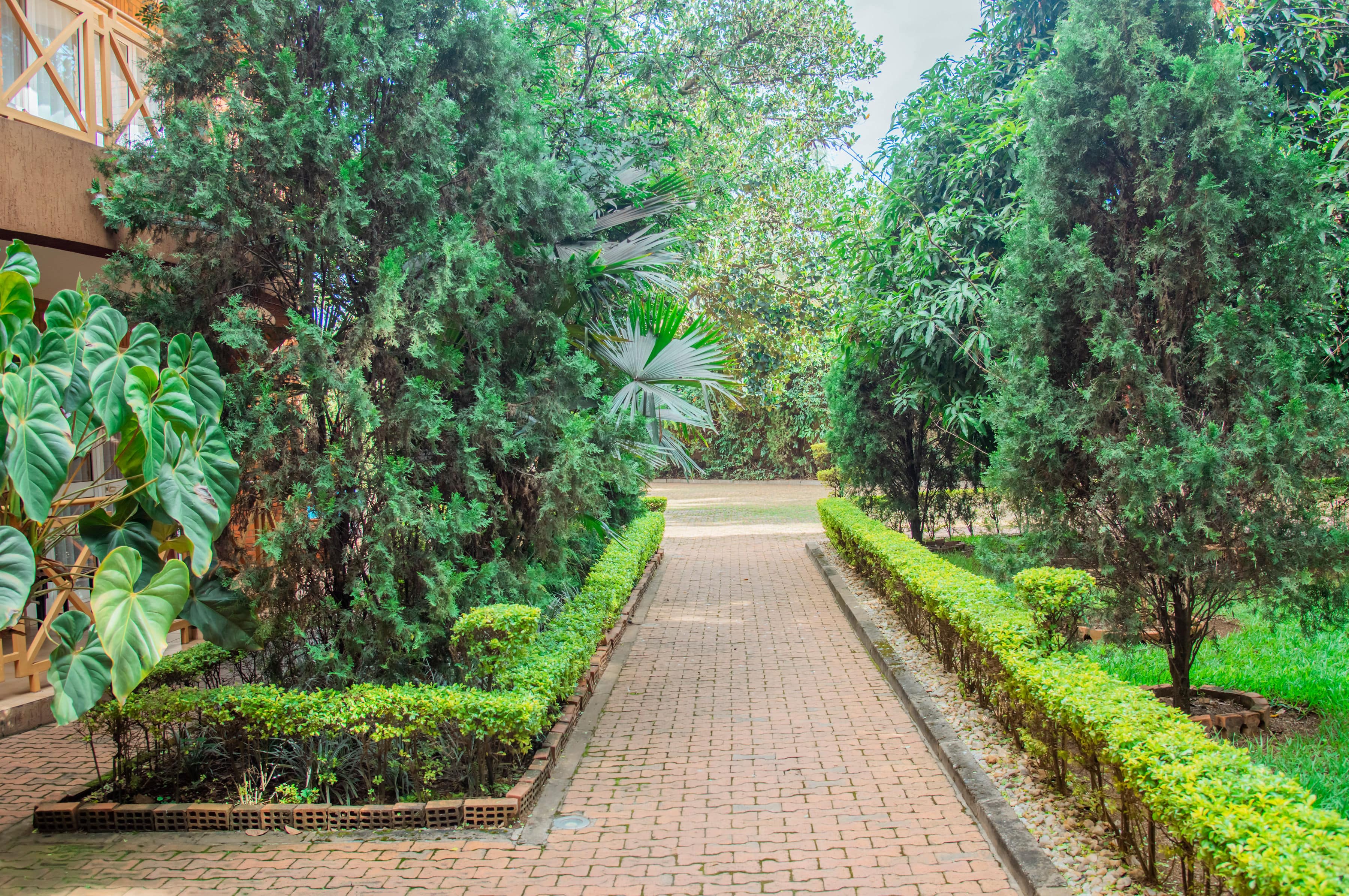 End-to-End View