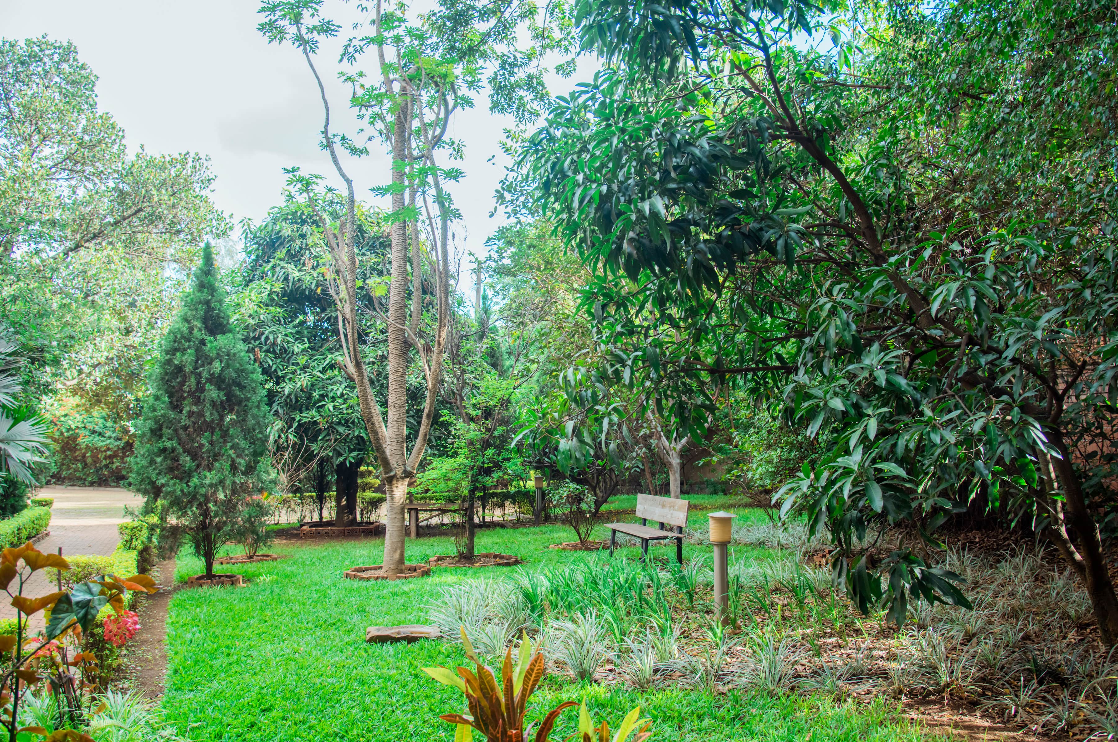 End-to-End View